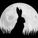 Illustration for article titled Netflix releases first pictures and full cast for an adorable rabbit show called Watership Down